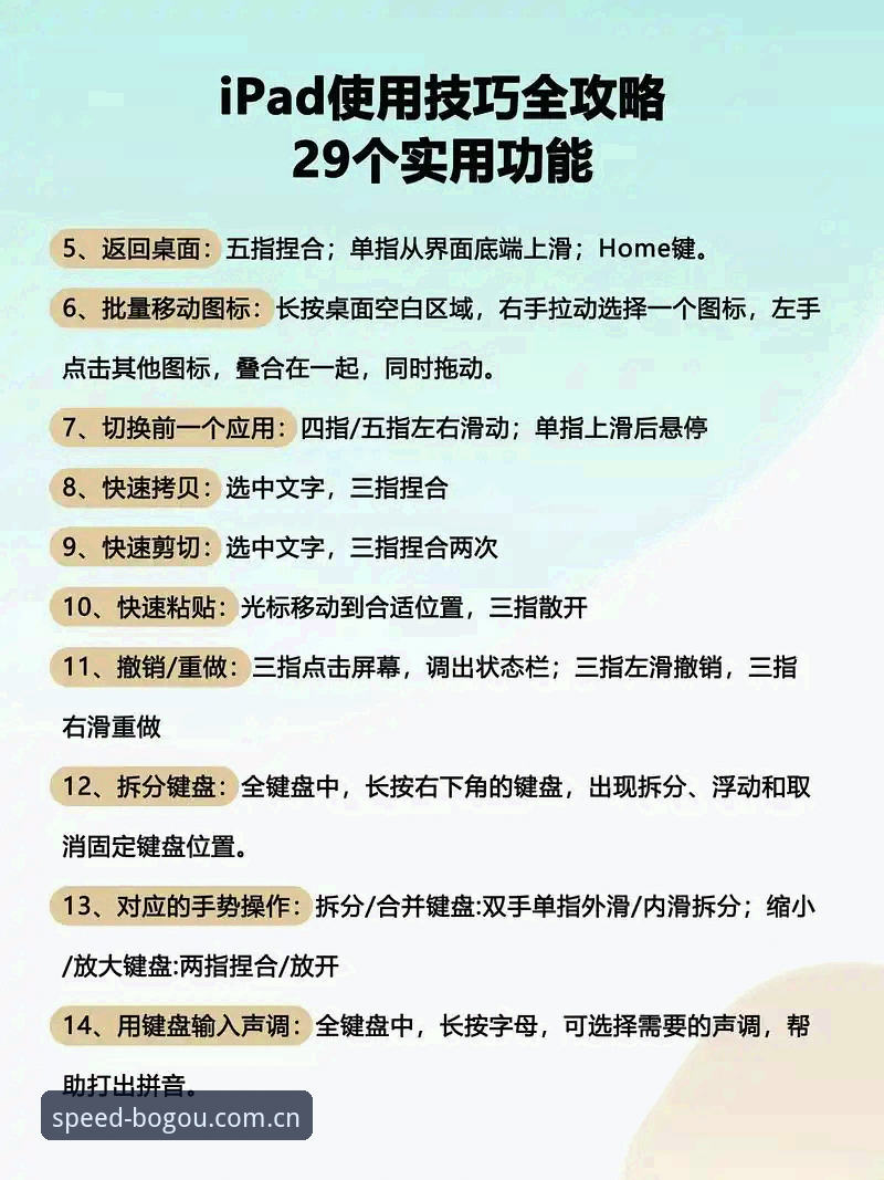 博狗官方平台使用教程:从新手到老手的完整操作指南