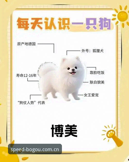 博狗靠谱吗?技术评测完整指南:从入口安全到真实体验的全方位解析