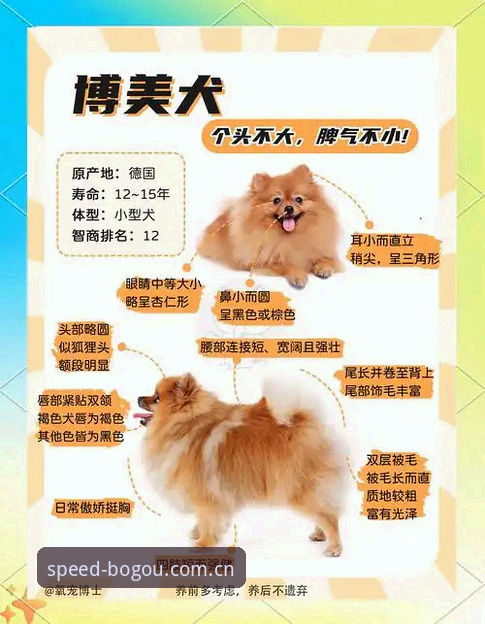 新手实战经验:博狗账号哪个好?资深用户教你选择最稳妥的登录通道